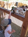 Jess_DZoo_II (20)